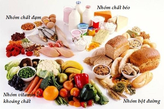 Thực đơn ăn dặm của trẻ cần đầy đủ 4 nhóm chất.